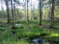 /album/fotogaleria/cimg7785-jpg/