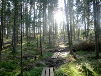 /album/fotogaleria/cimg7786-jpg/