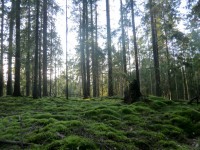 /album/fotogaleria/cimg7807-jpg1/