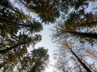 /album/fotogaleria/cimg7810-jpg/