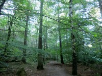 /album/fotogaleria/cimg7976-jpg1/
