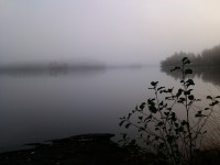 /album/fotogaleria/img-20141011-080731-jpg/