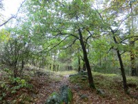 /album/fotogaleria/cimg8221-jpg/
