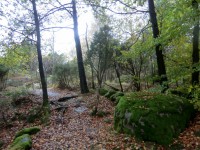 /album/fotogaleria/cimg8247-jpg/
