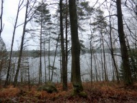 /album/fotogaleria/cimg8396-jpg/