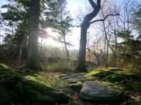 /album/fotogaleria/cimg8319-jpg1/