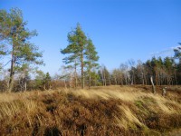 /album/fotogaleria/cimg8325-jpg1/