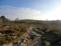 /album/fotogaleria/cimg8326-jpg1/