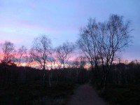 /album/fotogaleria/cimg8350-jpg1/