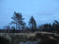 /album/fotogaleria/cimg8354-jpg/