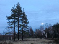 /album/fotogaleria/cimg8356-jpg1/